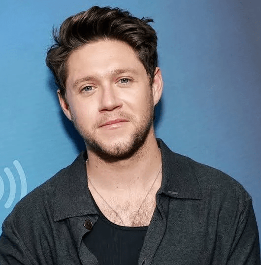 Image for Niall Horan post