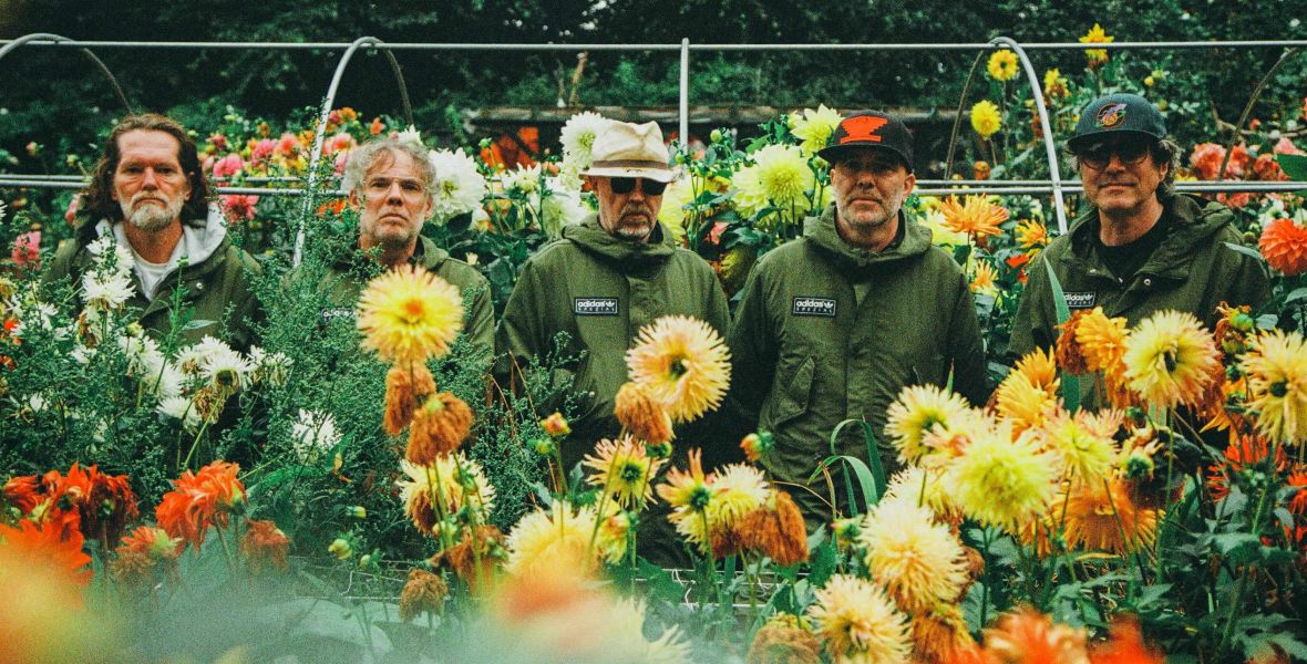 Image for Super Furry Animals post