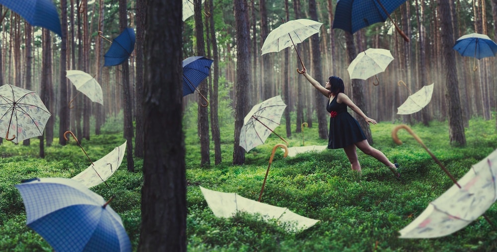 Image for Gallery post